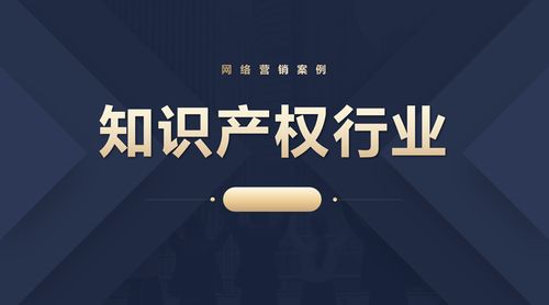 东莞知识产权行业网络营销案例 以差异化创新定位驱动科技中介服务